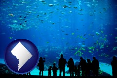 washington-dc an aquarium