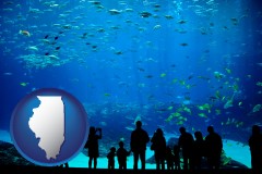 illinois an aquarium