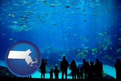 massachusetts an aquarium