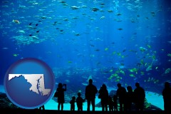 maryland an aquarium