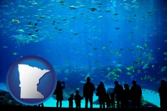 minnesota an aquarium