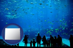 wyoming an aquarium