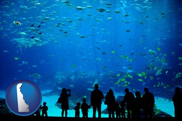 an aquarium - with Delaware icon