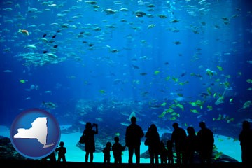 an aquarium - with New York icon