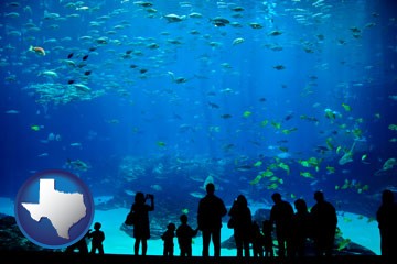 an aquarium - with Texas icon