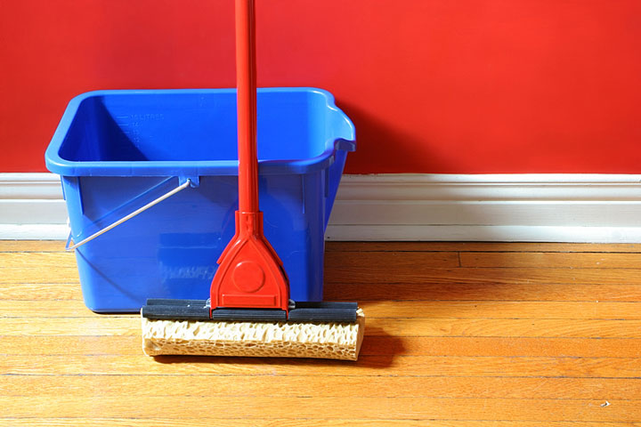 a bucket and mop on a hardwood floor (large image)