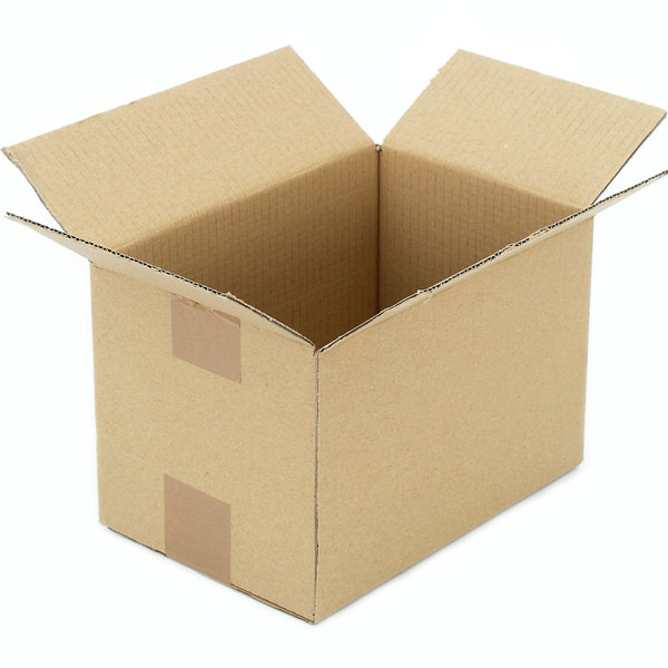 an open cardboard box (large image)