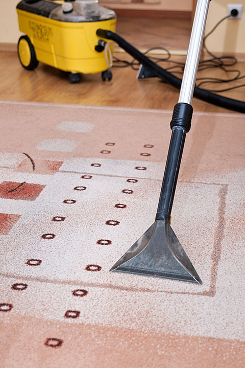 professional carpet cleaning equipment (large image)
