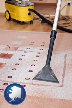 professional carpet cleaning equipment - with Alaska icon