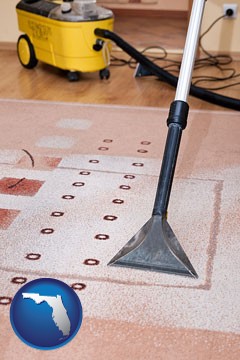 professional carpet cleaning equipment - with Florida icon
