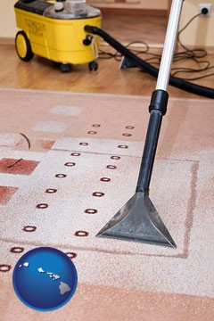 professional carpet cleaning equipment - with Hawaii icon
