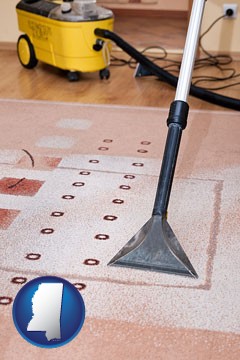 professional carpet cleaning equipment - with Mississippi icon
