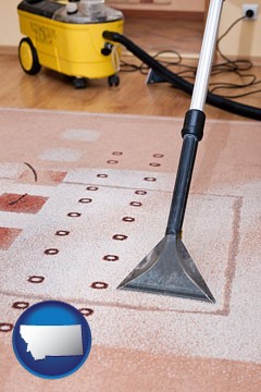 professional carpet cleaning equipment - with Montana icon