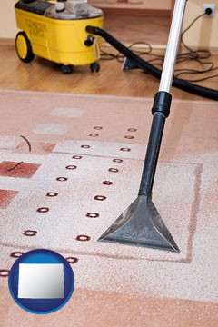 professional carpet cleaning equipment - with Wyoming icon