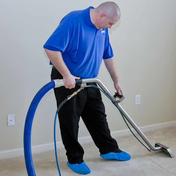 using steam cleaning equipment to clean a carpet (large image)