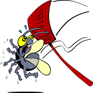a flyswatter swatting a fly