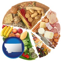 montana map icon and products from the various food groups