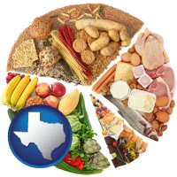 texas map icon and products from the various food groups