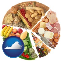 virginia map icon and products from the various food groups