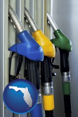 florida gasoline pumps