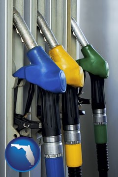 gasoline pumps - with Florida icon