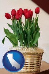 california map icon and a gift basket with red tulips