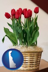 delaware map icon and a gift basket with red tulips