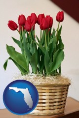 florida map icon and a gift basket with red tulips