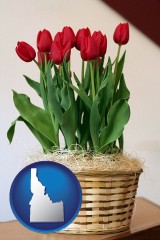 idaho map icon and a gift basket with red tulips