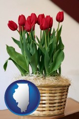 illinois map icon and a gift basket with red tulips
