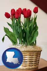 louisiana map icon and a gift basket with red tulips
