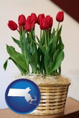 massachusetts map icon and a gift basket with red tulips