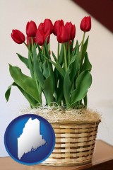 maine map icon and a gift basket with red tulips