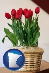 minnesota map icon and a gift basket with red tulips