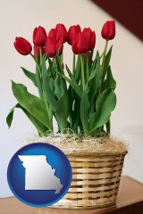missouri map icon and a gift basket with red tulips