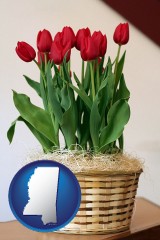 mississippi a gift basket with red tulips