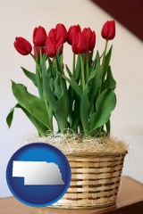 nebraska a gift basket with red tulips