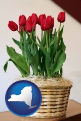 new-york a gift basket with red tulips