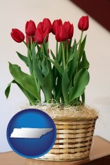 tennessee a gift basket with red tulips