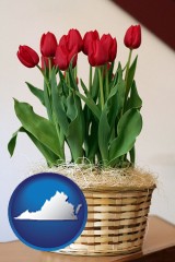 virginia map icon and a gift basket with red tulips