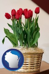 wisconsin a gift basket with red tulips