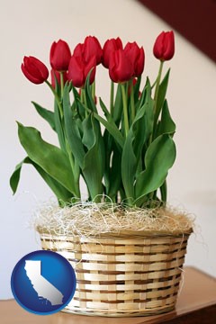 a gift basket with red tulips - with California icon