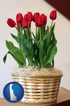a gift basket with red tulips - with Delaware icon