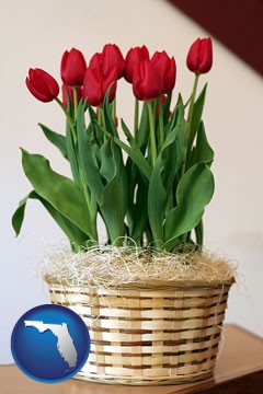 a gift basket with red tulips - with Florida icon