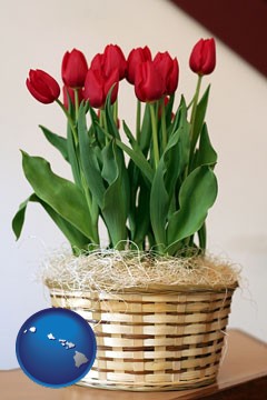 a gift basket with red tulips - with Hawaii icon