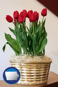 a gift basket with red tulips - with Iowa icon