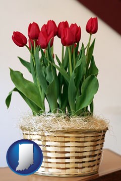 a gift basket with red tulips - with Indiana icon