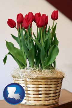 a gift basket with red tulips - with Louisiana icon