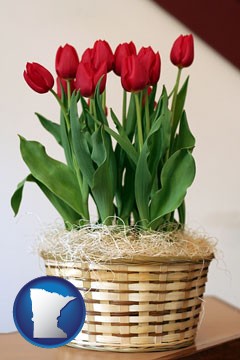 a gift basket with red tulips - with Minnesota icon