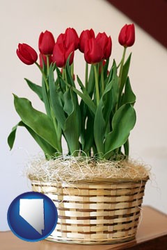 a gift basket with red tulips - with Nevada icon